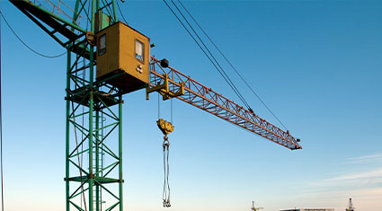 Crane Types – The Different Types of Cranes (With Infographic)